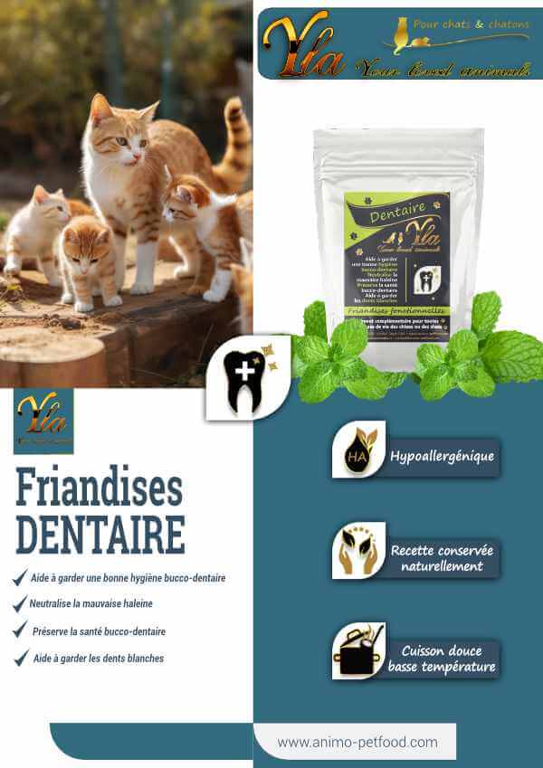 friandises-dentaire-pour-chats-preserve-la-sante-bucco-dentaire